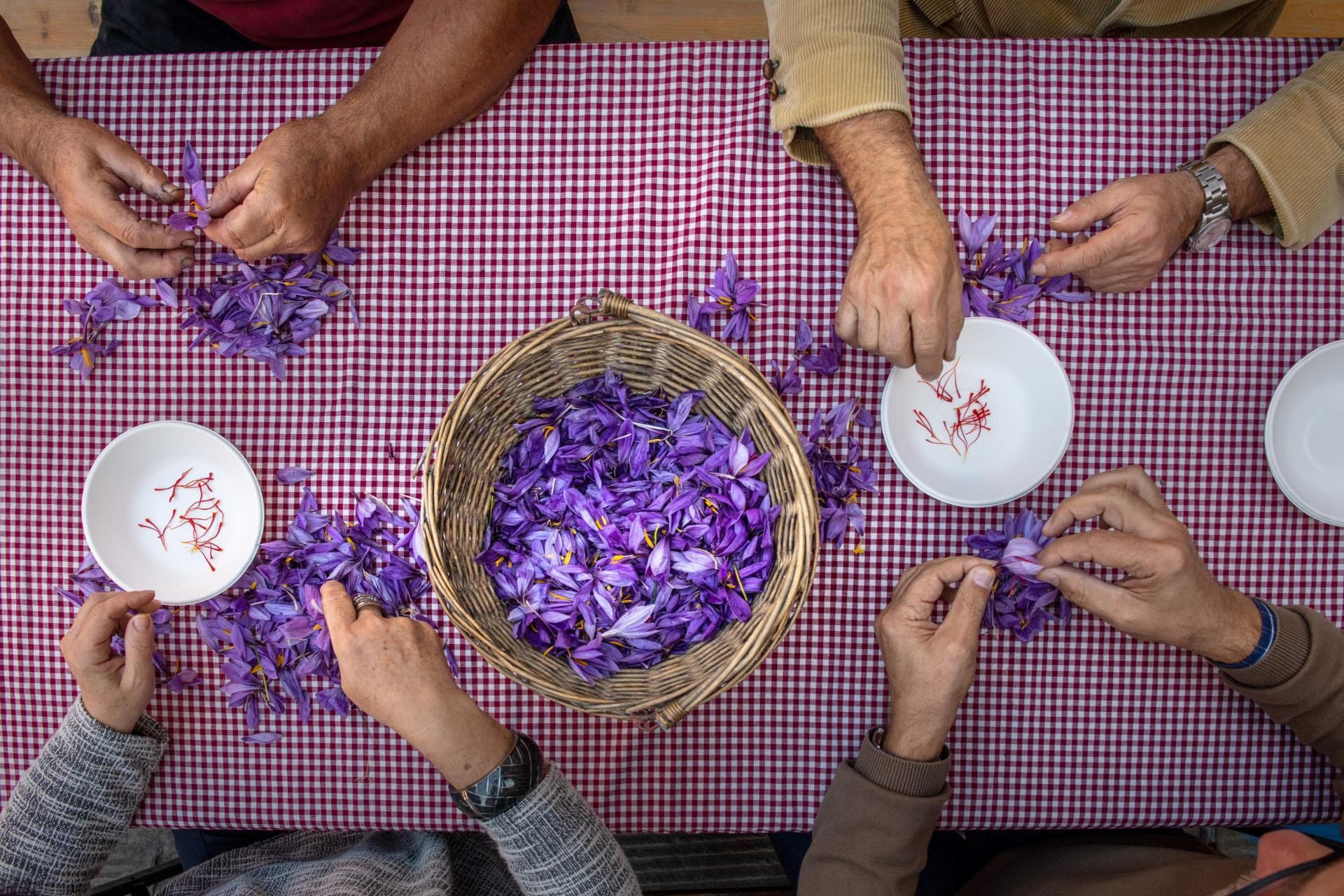 descrizione immagine