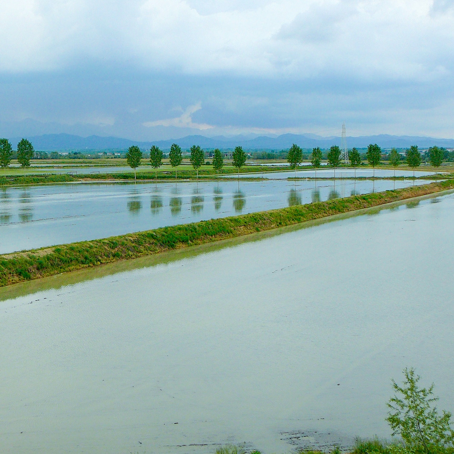 descrizione immagine