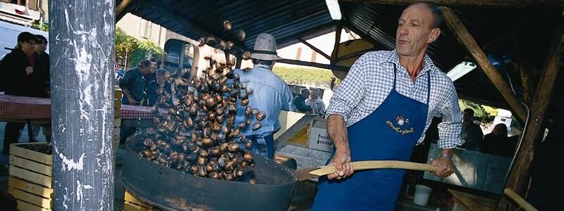 Festa da Castanha em Roncegno