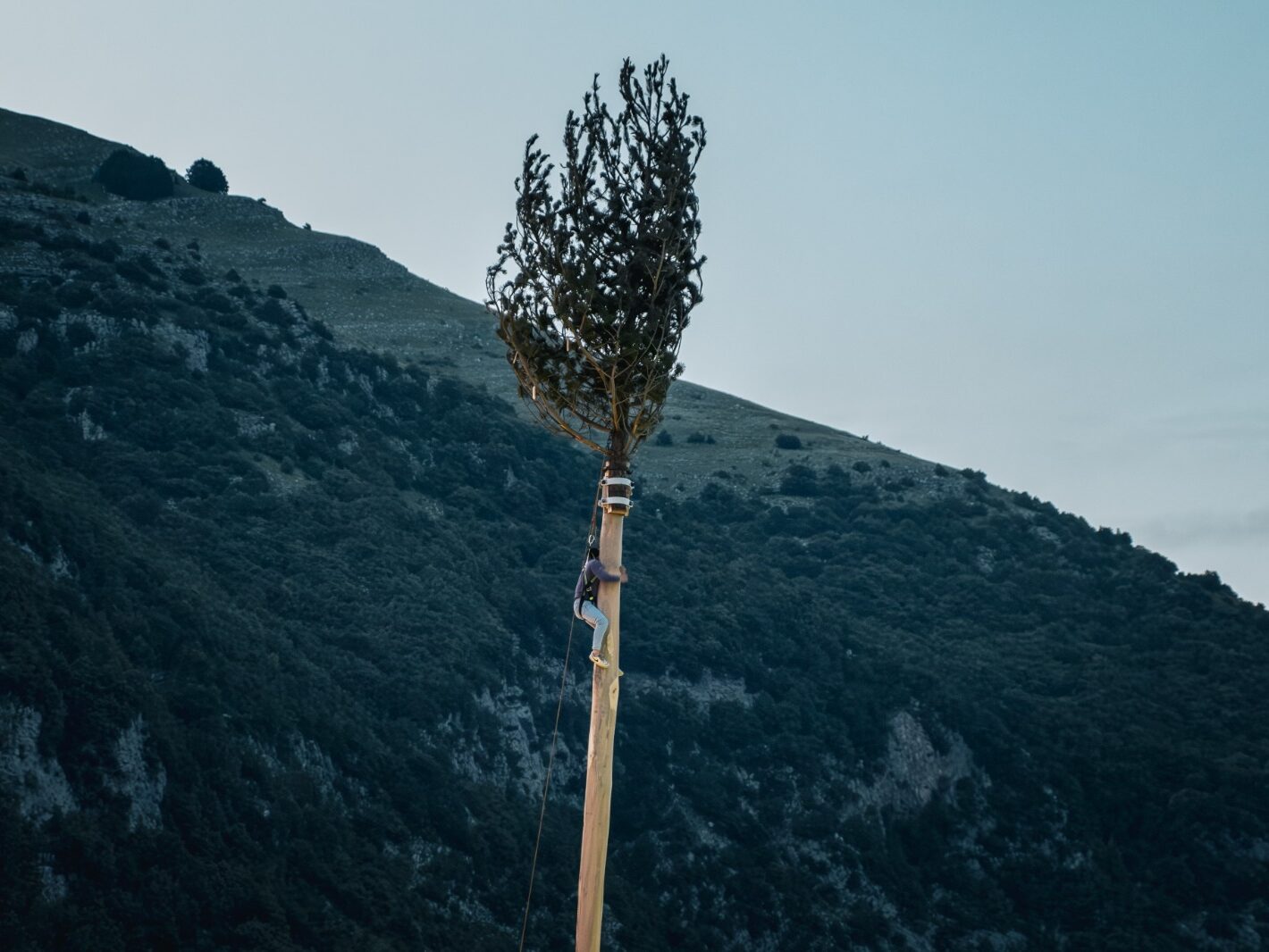 descrizione immagine
