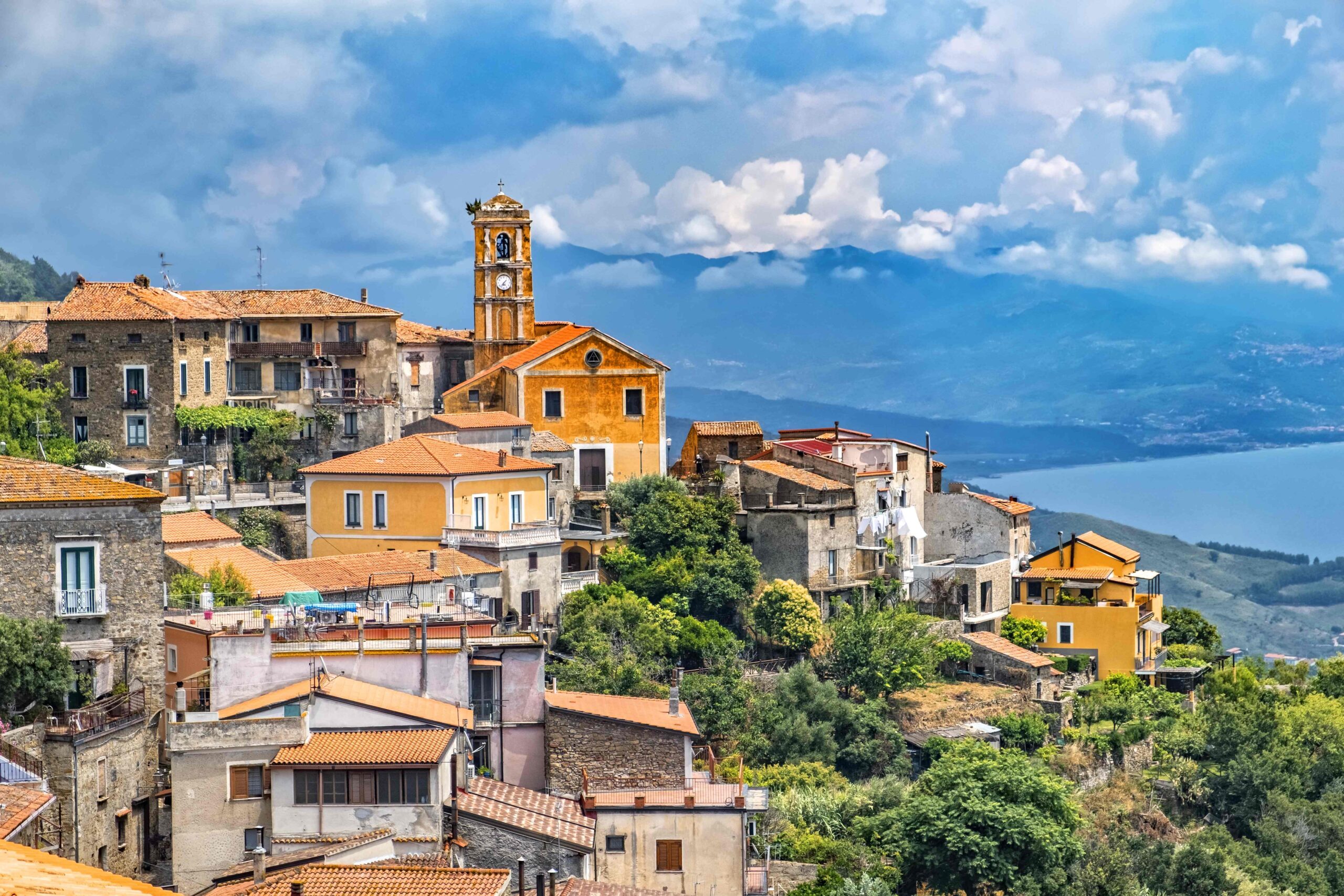 AdobeStock_POLLICA-scaled